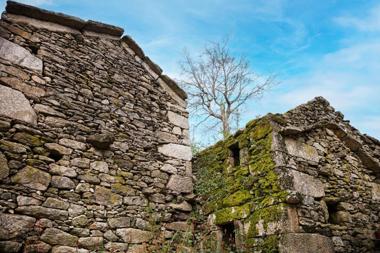 Casa Do Rego Villa Melgaço Dış mekan fotoğraf